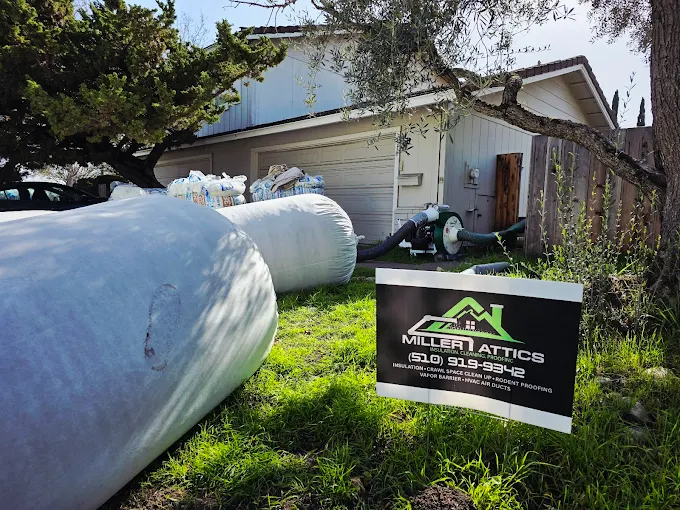 attic cleanout service